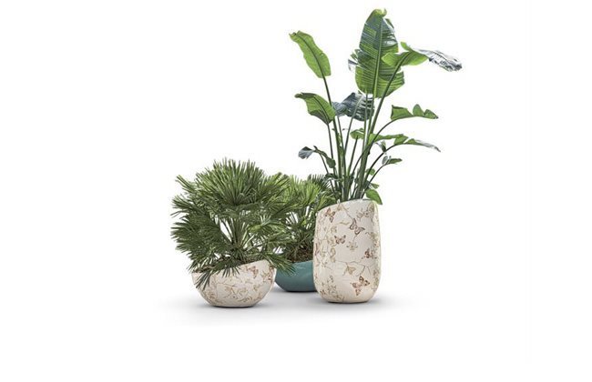 Cachepot_Artemisia_Still-Life_preview