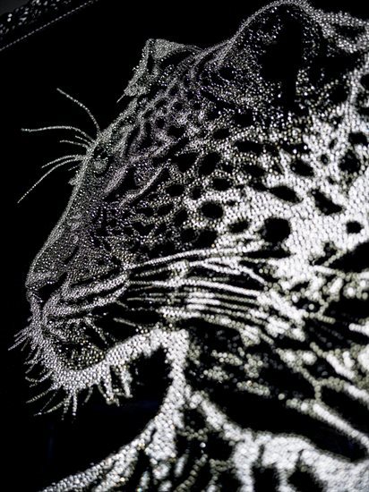 LEOPARDO_gallery_04(0)_G4004
