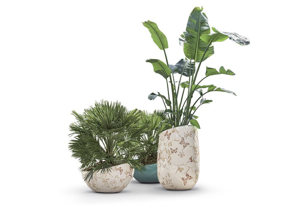 cachepot_Artemisia_Dettaglio-Still-Life