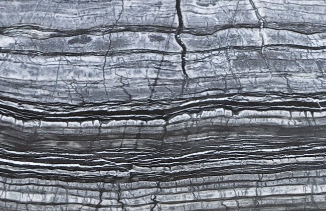 longhi_materiali_marmo_silver_wave_small(0)