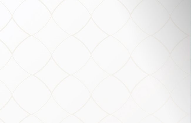 longhi_materiali_vetri_decorati_temperati_doral_acidato_retroverniciato_bianco